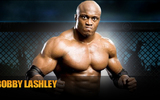 Lashley_cage