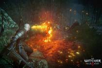 Гайд по достижениям The Witcher 3: Wild Hunt